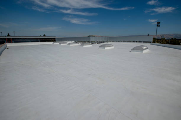 Best Chimney Flashing Repair  in Macon, IL