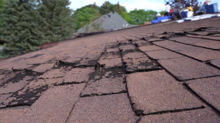 Best Sheet Metal Roofing  in Macon, IL